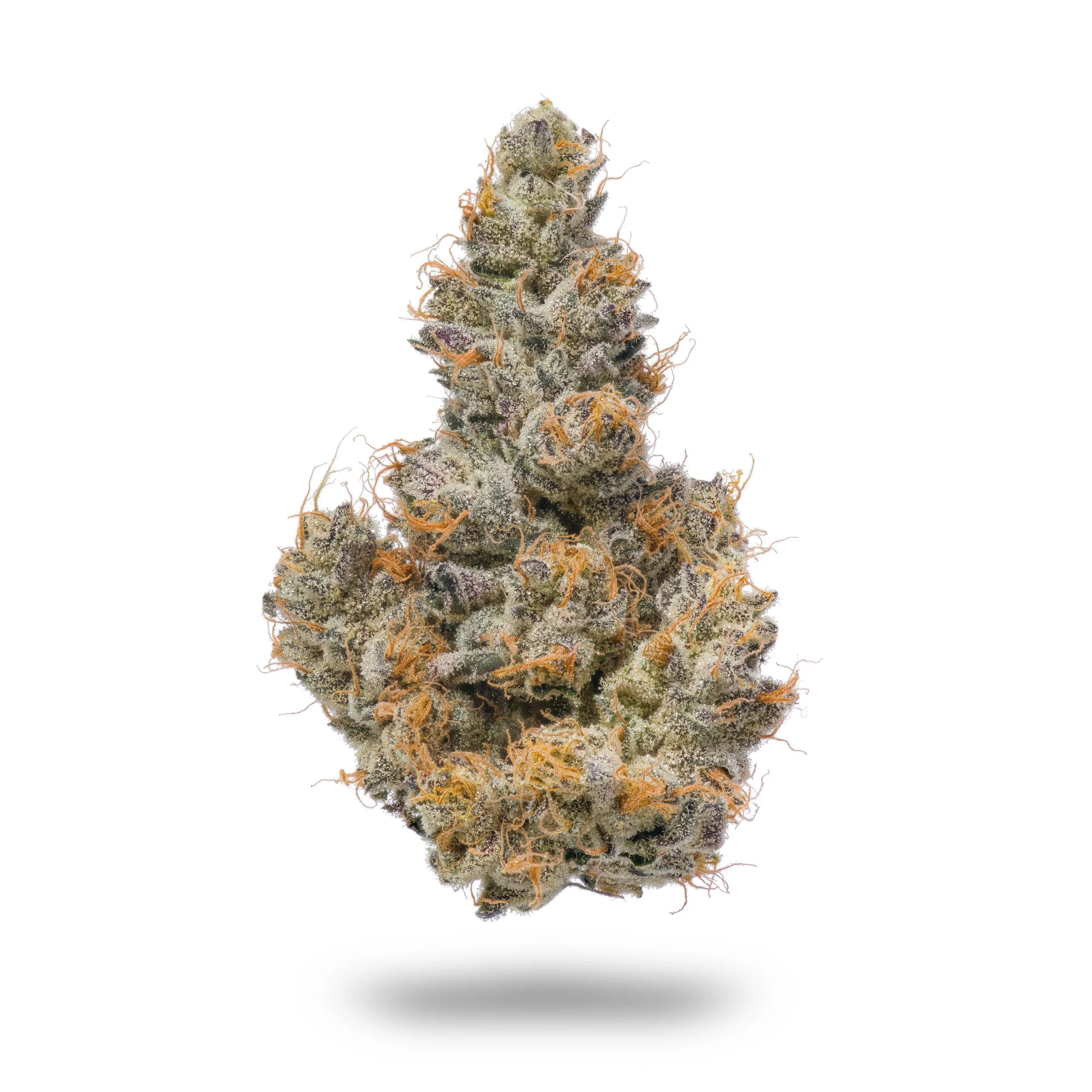 Northern Emeralds Strains — Northern Emeralds